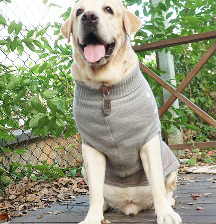 Autumn Winter Warm Cotton Pet Sweater Clothing
