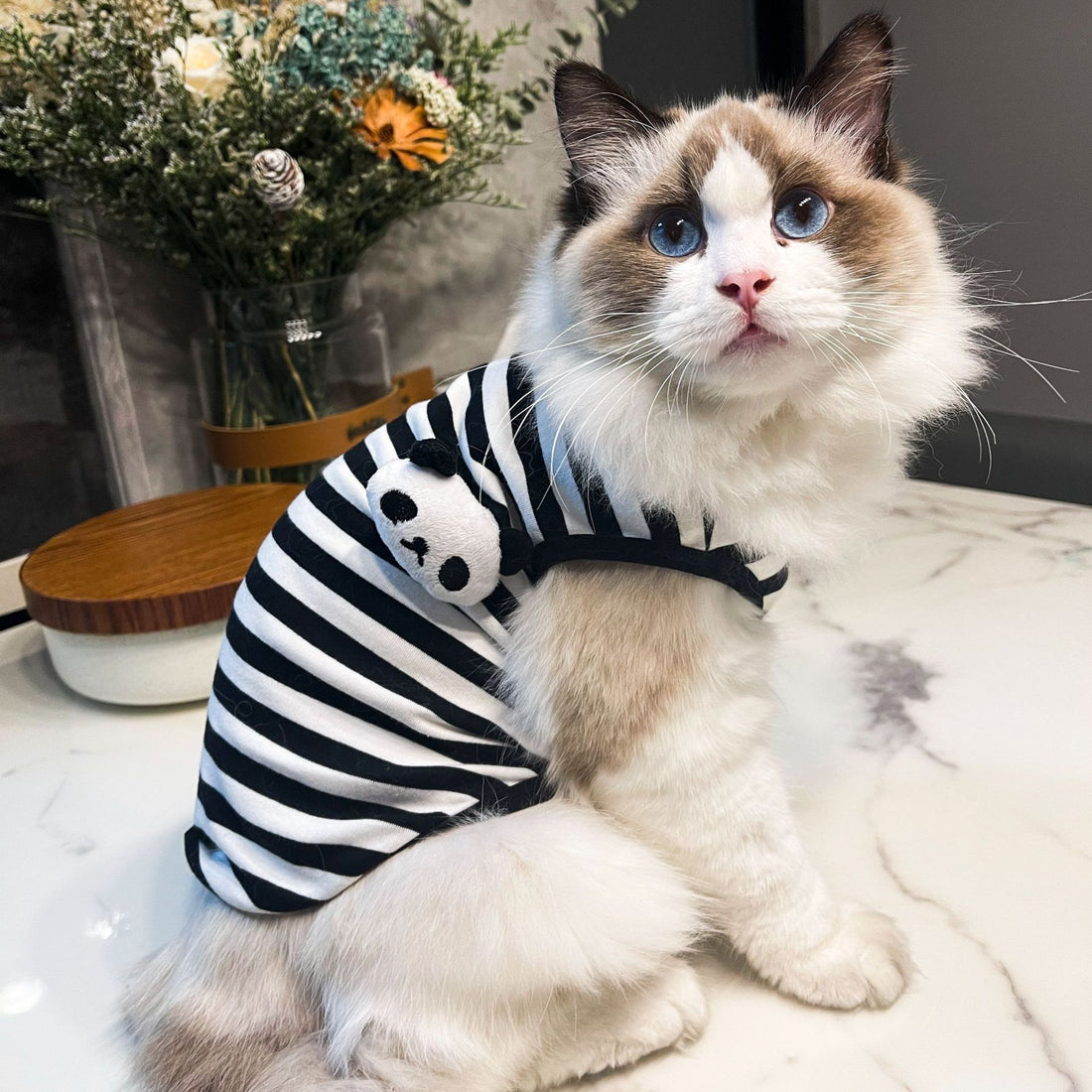 Pet Striped Vest Style Clothing Suit