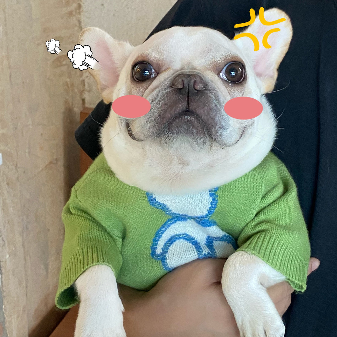 Fall Winter Thick Pet Sweater Warm Clothing