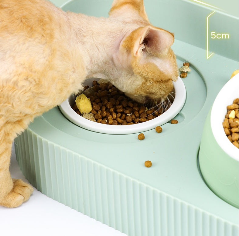 Ceramic Pet Food Bowl With Cervical Spine Support Bow