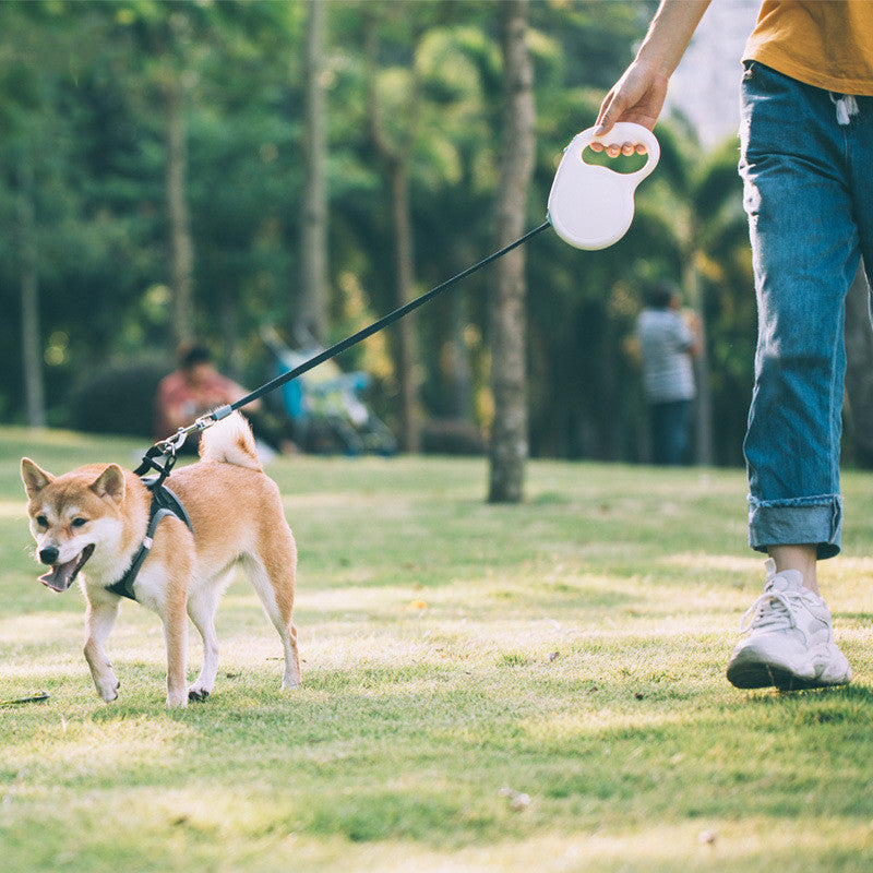 Retractable Pet Leash Adjustable Walking Tool