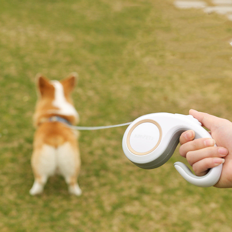 Automatic Retractable Pet Leash Walking Tool