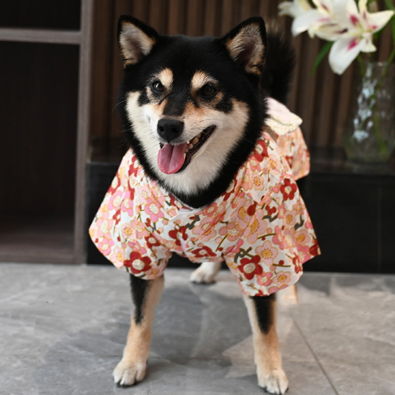 Pet Creative Printed Cotton Clothing Suit