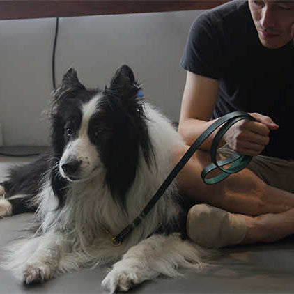 Leather Pet Traction Strap Durable Walking Leash Tool