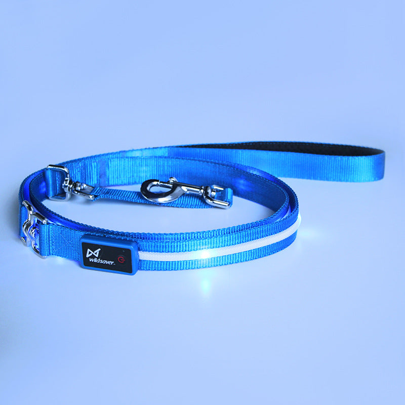 LED USB Charging Luminous Pet Leash Creative Durable Walking Rope