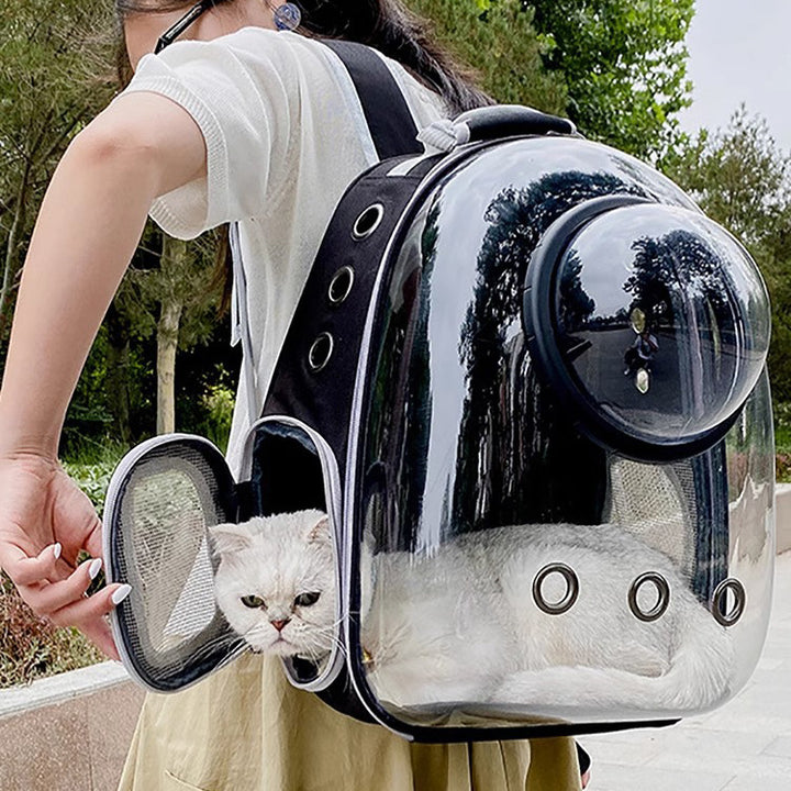 Transparent Skylight Pet Backpack Breathable Large Capacity Travel Carrier Bag