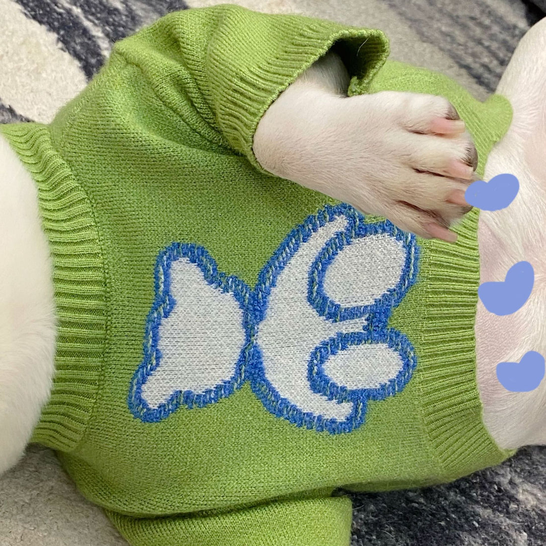 Fall Winter Thick Pet Sweater Warm Clothing