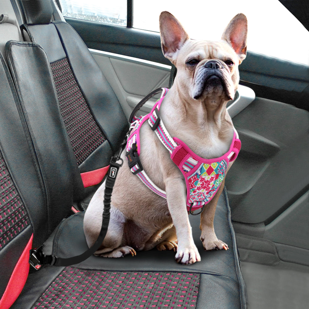 Pet Chest Harness Adjustable Leash Walking Support Tool
