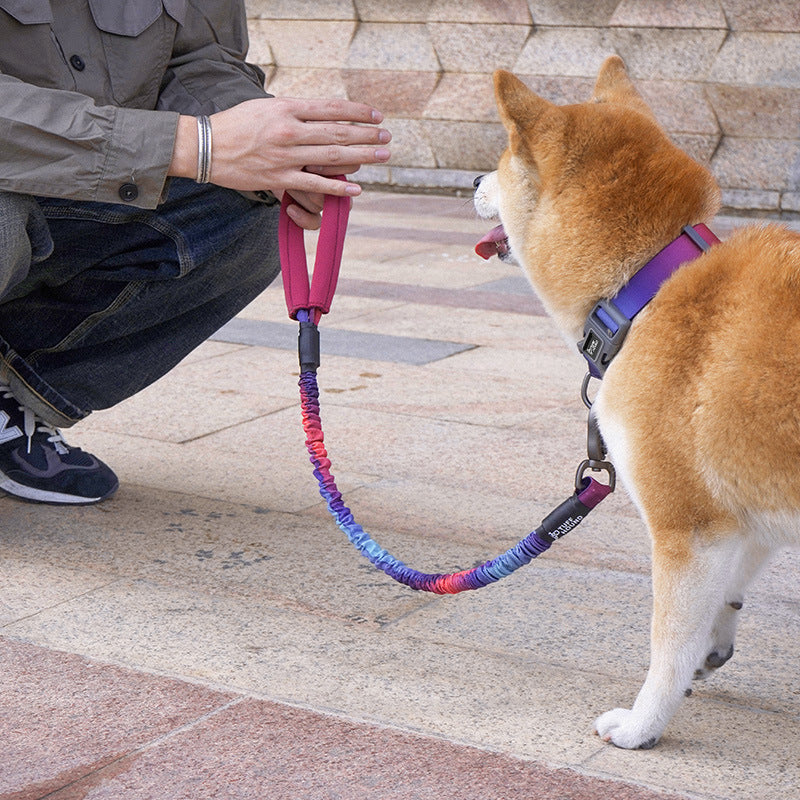 Elastic Pet Traction Rope Simple Walking Leash Tool