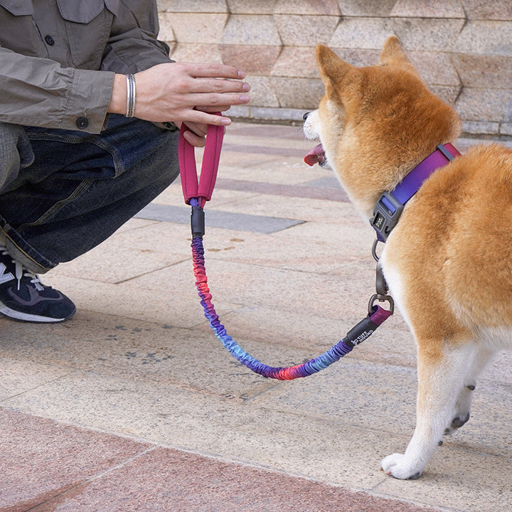 Elastic Pet Traction Rope Simple Walking Leash Tool