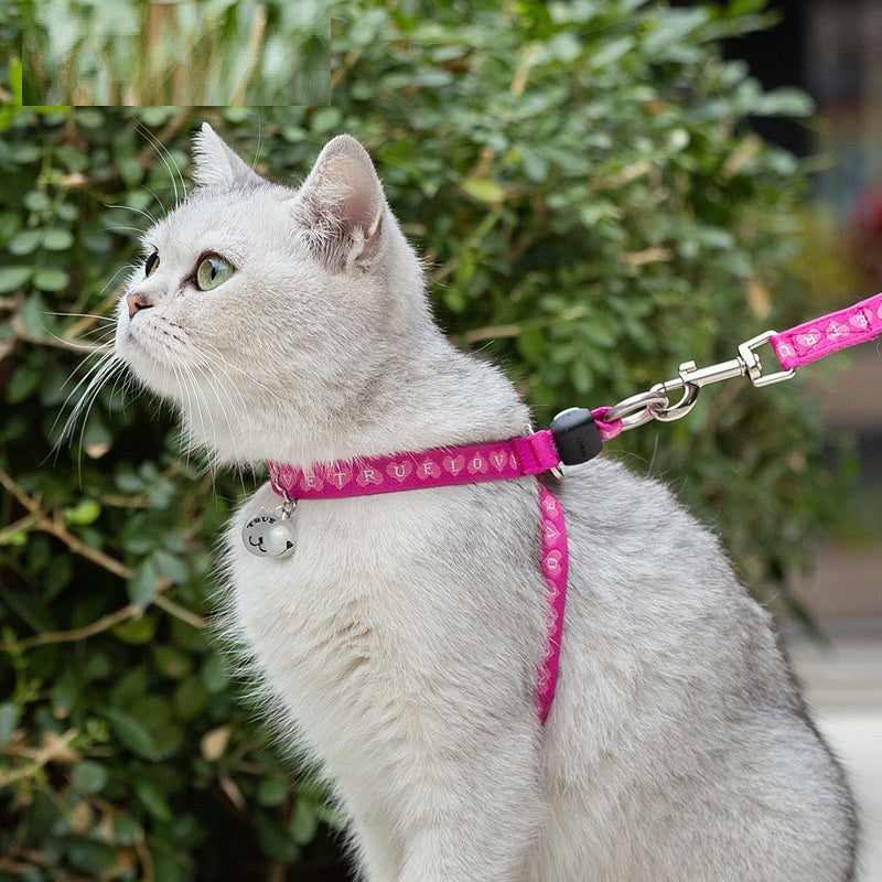 Pet Bell Chest Harness Vest Leash Walking Set