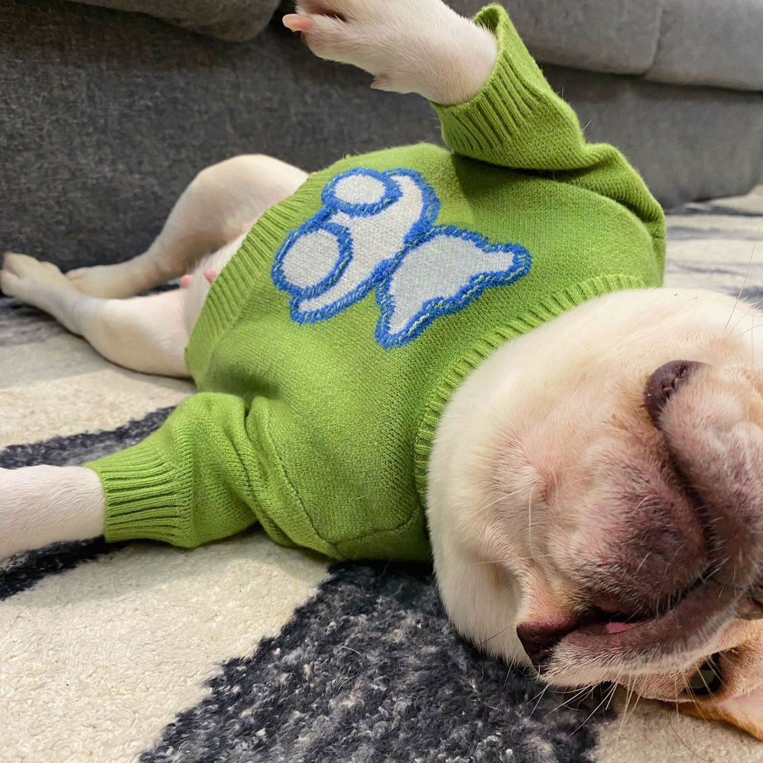 Fall Winter Thick Pet Sweater Warm Clothing