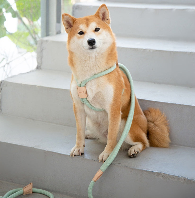 Pet Dual Purpose Round Rope Leash Integrated Walking Tool