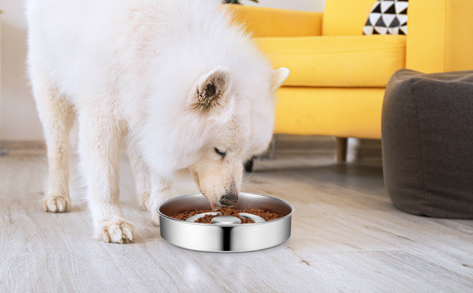 Pet Stainless Steel Slow Feeding Bowl Neck Protector Suit