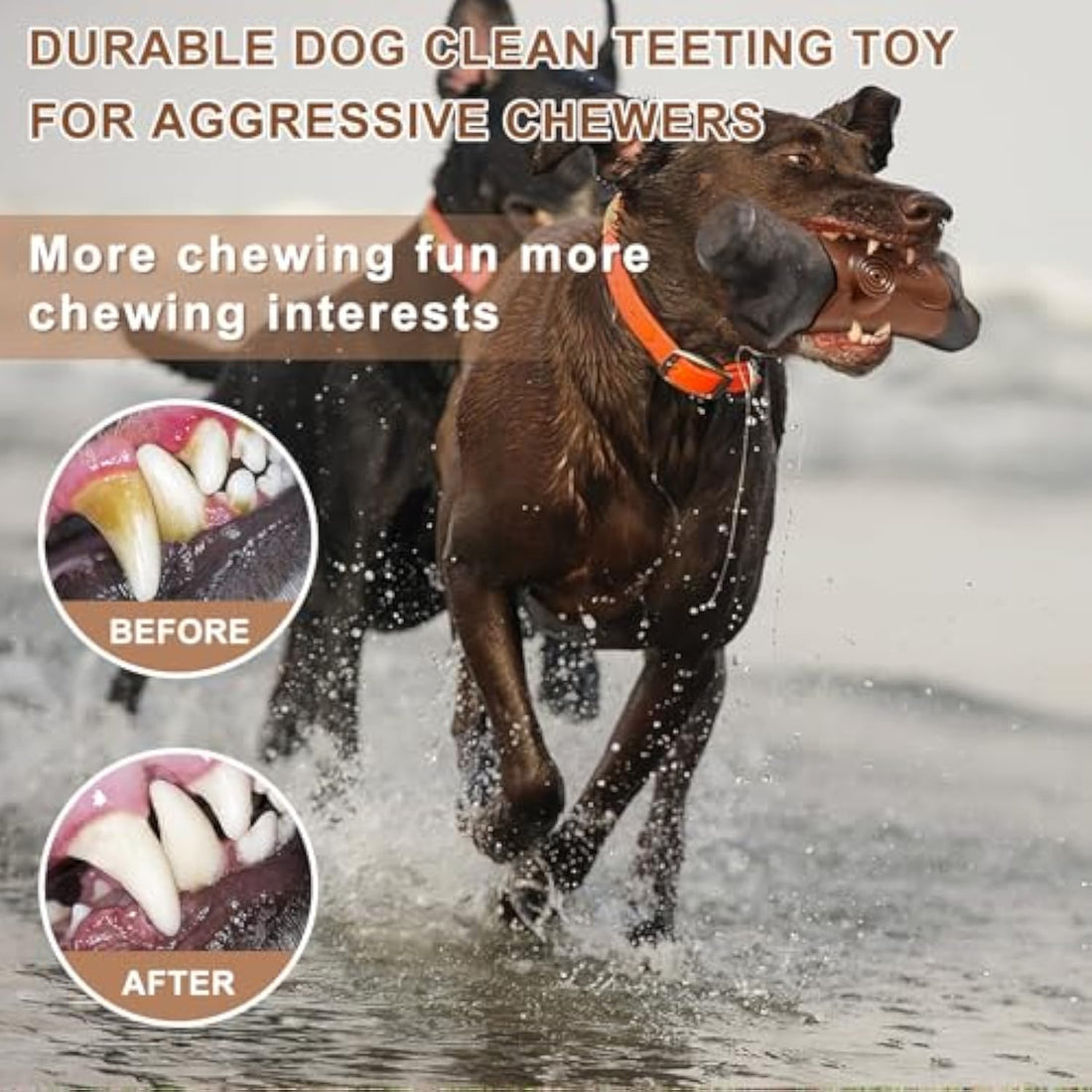 Tough Pet Chew Toy Indestructible Durable Bacon Flavor Interactive Toy