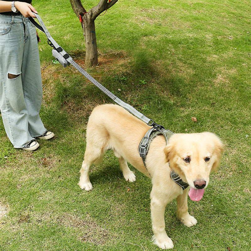 Fluorescent Pet Elastic Retractable Leash Explosion Proof Tool